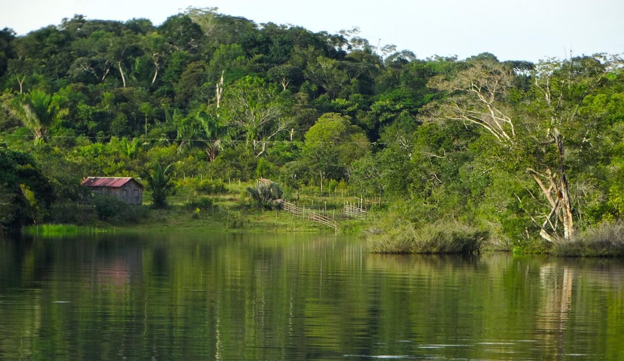 R&iacute;o Amazonas