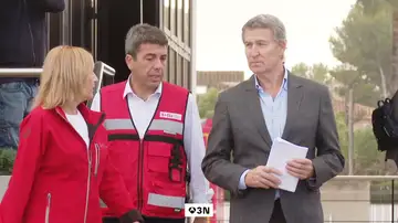 COLAS DEFENSA COLAS DEFENSA