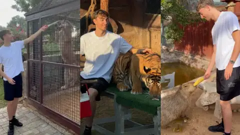 Dean Huijsen y sus vacaciones en Dubái entre tigres, serpientes, pumas y cocodrilos Dean Huijsen y sus vacaciones en Dubái entre tigres, serpientes, pumas y cocodrilos