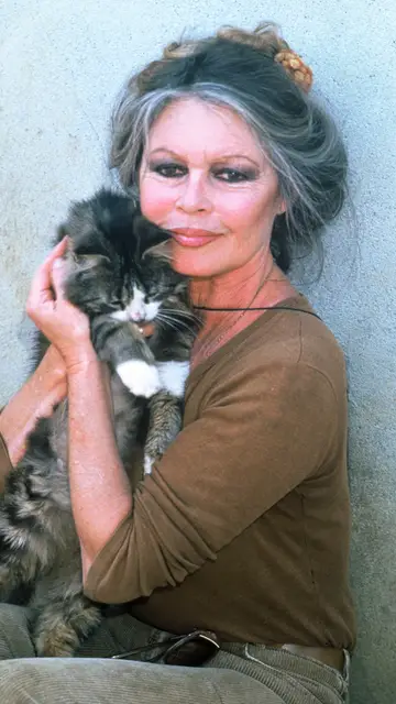 Brigitte Bardot Brigitte Bardot