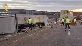 Un camión con 170 cerdos vuelca en la A-22 en Monzón (Huesca) Un camión con 170 cerdos vuelca en la A-22 en Monzón (Huesca)