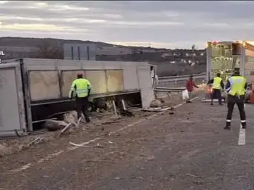 Un camión con 170 cerdos vuelca en la A-22 en Monzón (Huesca) Un camión con 170 cerdos vuelca en la A-22 en Monzón (Huesca)