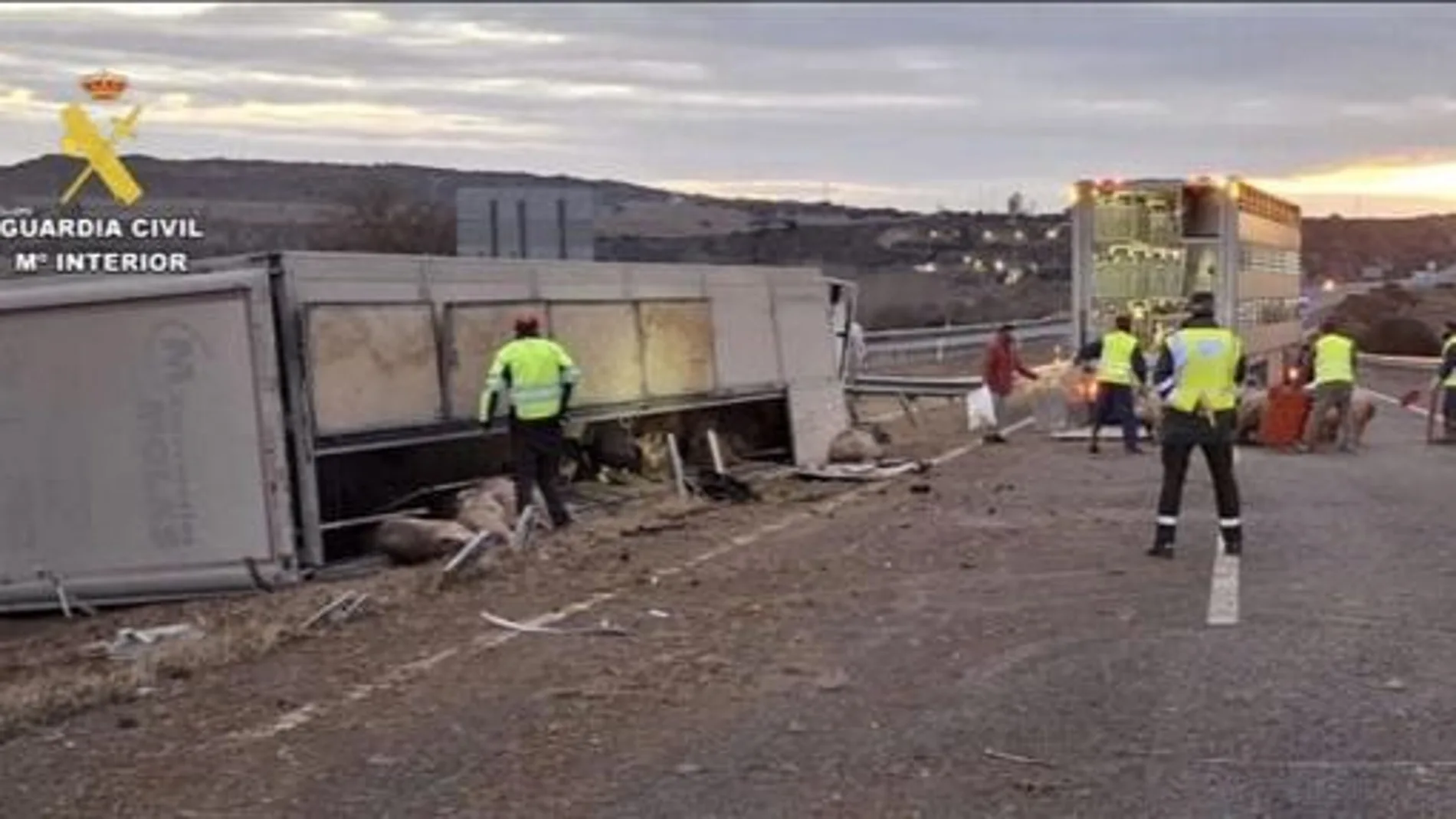 Un camión con 170 cerdos vuelca en la A-22 en Monzón (Huesca) Un camión con 170 cerdos vuelca en la A-22 en Monzón (Huesca)