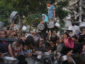 Israel proh&iacute;be a 37 ONG trabajar en Gaza a partir del 1 de enero