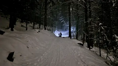 Paisaje nevado Paisaje nevado