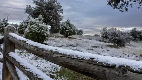 Nieve por la borrasca Francis Nieve por la borrasca Francis
