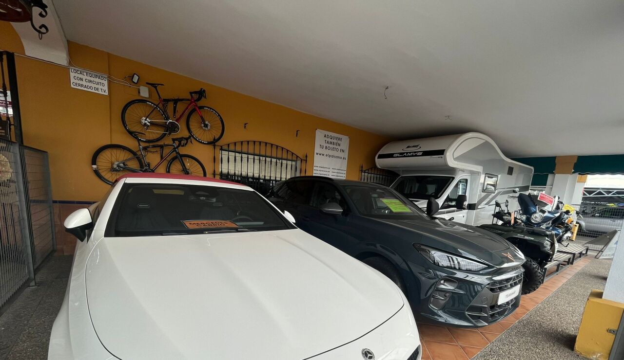 Los coches de la cesta de Navidad