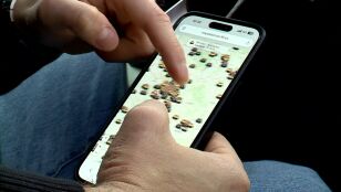 Mapa de balizas en tiempo real