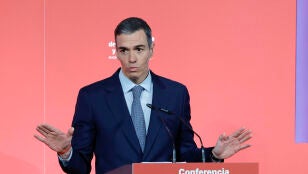 Pedro S&aacute;nchez