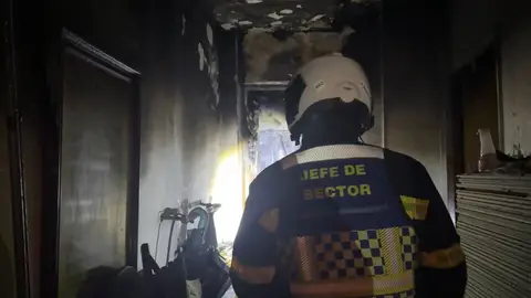 Efectivos de seguridad Efectivos de seguridad