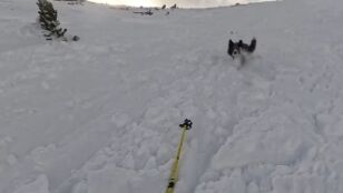 Momento en el que una esquiadora graba un alud junto a su perro