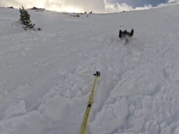 Momento en el que una esquiadora graba un alud junto a su perro