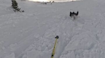 Momento en el que una esquiadora graba un alud junto a su perro