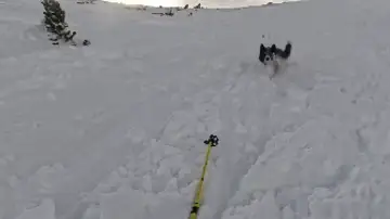 Momento en el que una esquiadora graba un alud junto a su perro Momento en el que una esquiadora graba un alud junto a su perro