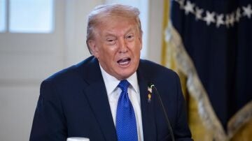 Trump dice que el Ej&eacute;rcito de EEUU est&aacute; "analizando muy seriamente" intervenir en Ir&aacute;n