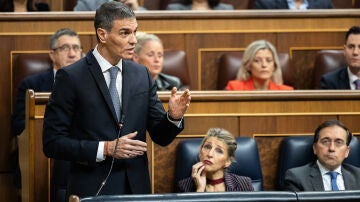 El presidente del Gobierno, Pedro S&aacute;nchez, interviene durante una sesi&oacute;n de control al Gobierno