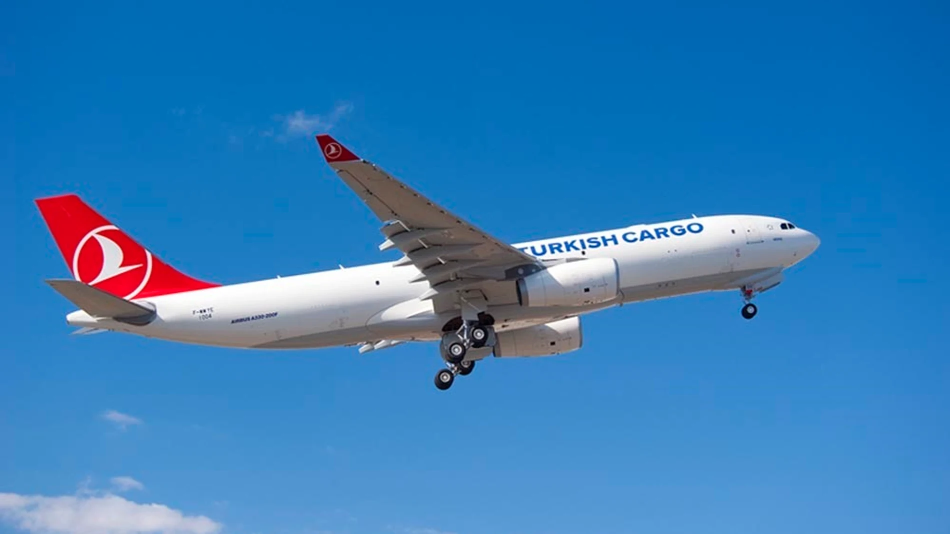 Imagen de archivo de un avión de Turkish Airlines Imagen de archivo de un avión de Turkish Airlines