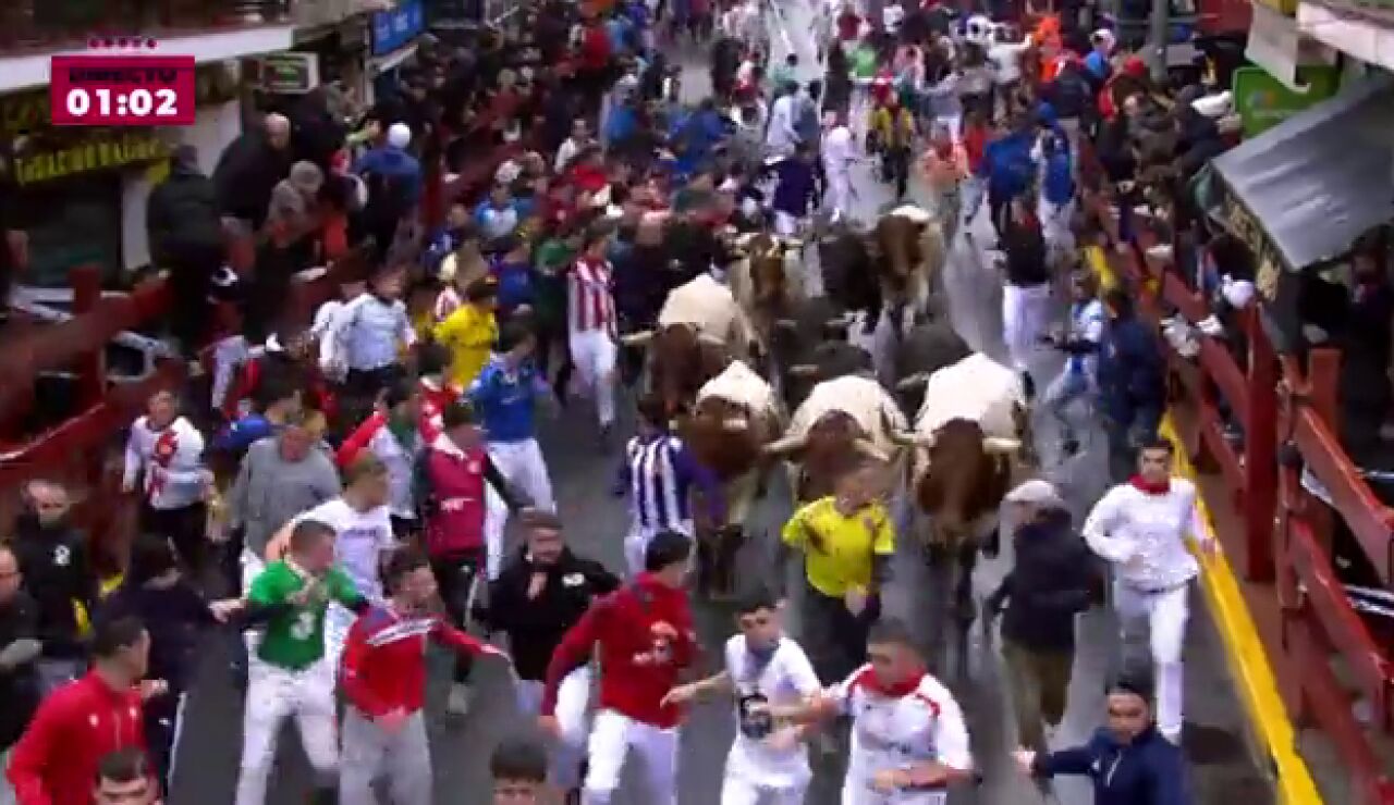 V&iacute;deo: As&iacute; ha sido el primer encierro blanco de San Sebasti&aacute;n de Los Reyes 2026