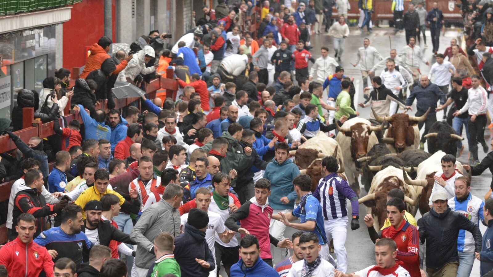 Nueve heridos leves en el segundo Encierro Blanco de San Sebastián de los Reyes 