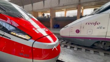 Tren Iryo y AVE