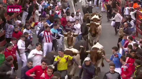 Streaming, en directo: segundo encierro blanco de San Sebastián de Los Reyes 2025 Streaming, en directo: segundo encierro blanco de San Sebastián de Los Reyes 2025