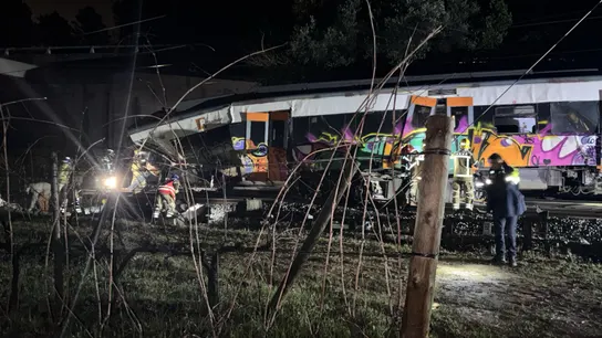 Imagen del tren Imagen del tren