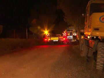 Gr&uacute;as en Adamuz