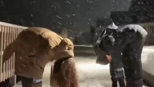 Los v&iacute;deos de los groenlandeses atacando a Trump