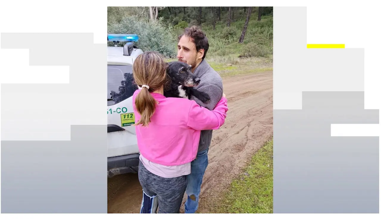Rescatan a Boro, el perro que se había perdido tras el accidente de tren en Adamuz, Córdoba