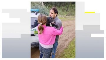 Rescatan a Boro, el perro que se hab&iacute;a perdido tras el accidente de tren en Adamuz, C&oacute;rdoba