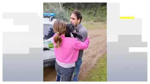 Rescatan a Boro, el perro que se había perdido tras el accidente de tren en Adamuz, Córdoba Rescatan a Boro, el perro que se había perdido tras el accidente de tren en Adamuz, Córdoba