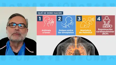 Lorenzo Armenteros, médico de familia, sobre atragantamientos Lorenzo Armenteros, médico de familia, sobre atragantamientos