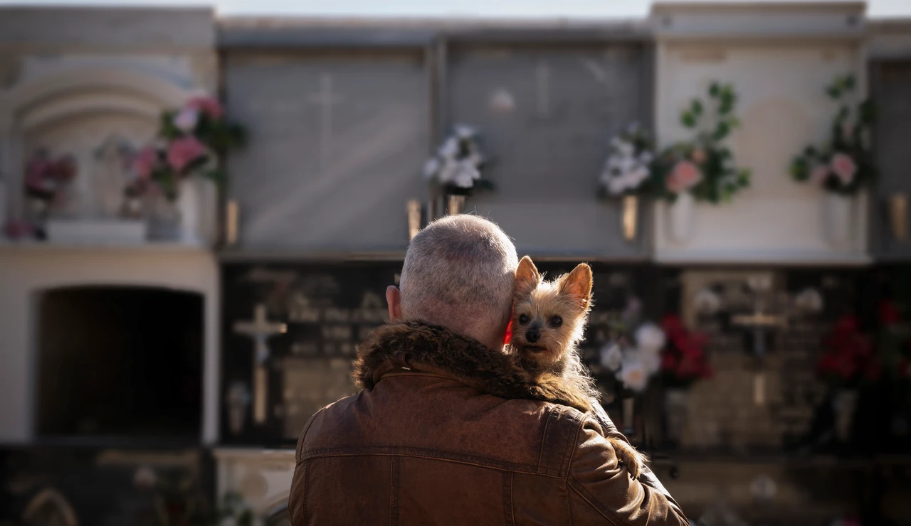 Hombre con un perro en un cementerio
