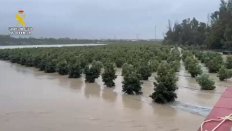 Una zona rural de Jerez inundada por la crecida del r&iacute;o Guadalete