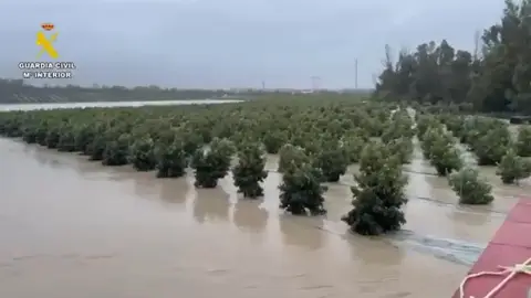 Una zona rural de Jerez inundada por la crecida del río Guadalete Una zona rural de Jerez inundada por la crecida del río Guadalete