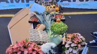 Agricultores, ganaderos y pescadores canarios salen a la calle para pedir mayor defensa del sector: "El campo se desangra"