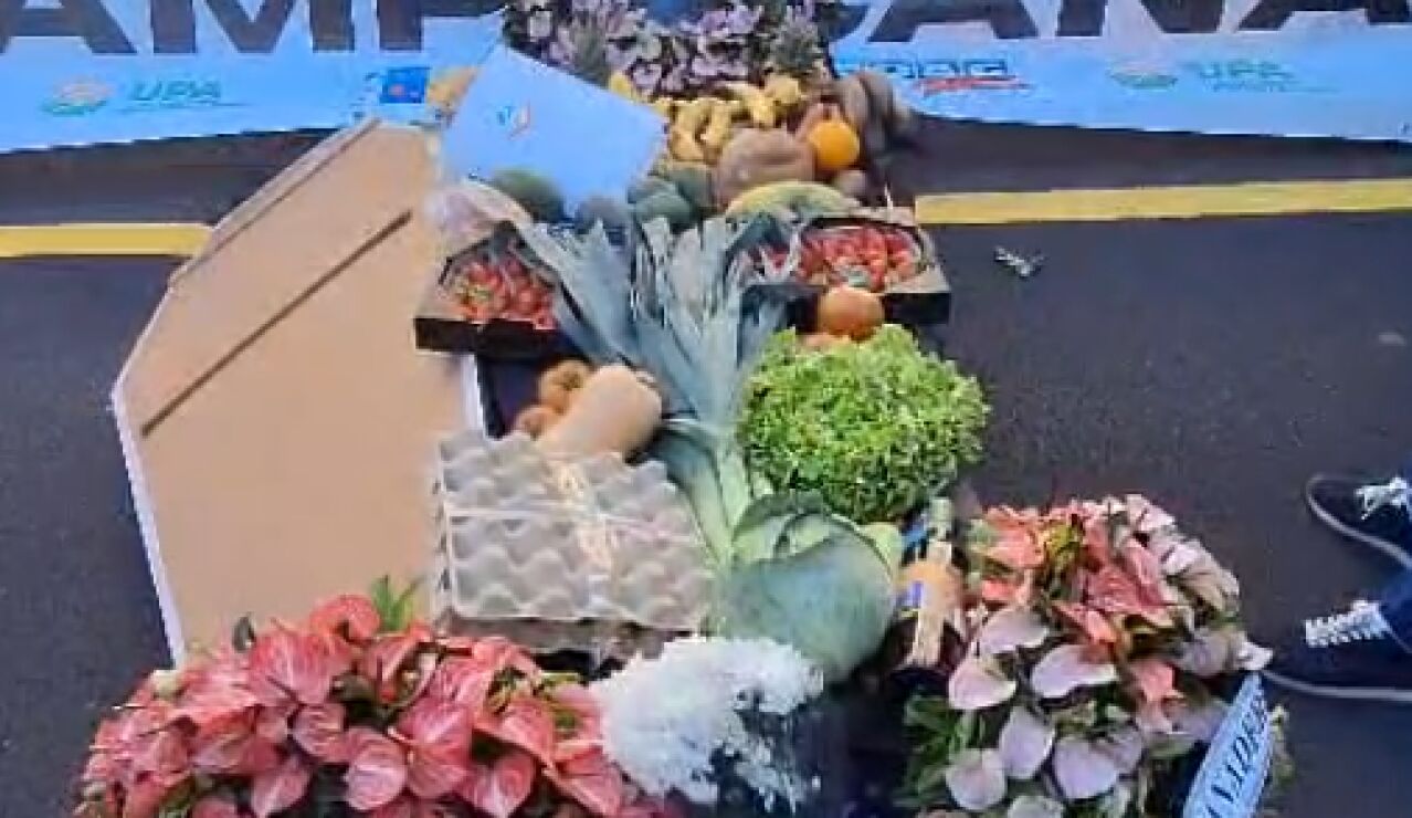 Agricultores, ganaderos y pescadores canarios salen a la calle para pedir mayor defensa del sector: "El campo se desangra"