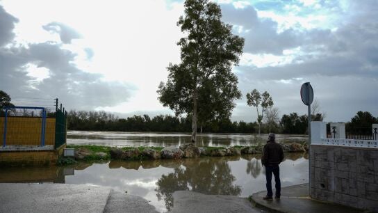 Contin&uacute;an desalojados 150 vecinos en tres n&uacute;cleos rurales de Jerez (C&aacute;diz) tras la crecida del r&iacute;o Guadalete