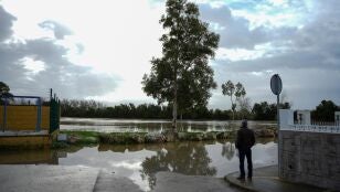 Contin&uacute;an desalojados 150 vecinos en tres n&uacute;cleos rurales de Jerez (C&aacute;diz) tras la crecida del r&iacute;o Guadalete