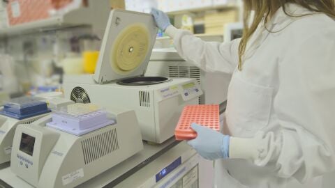 Imagen de la investigaci&oacute;n.REMITIDA / HANDOUT por SOLTIFotograf&iacute;a remitida a medios de comunicaci&oacute;n exclusivamente para ilustrar la noticia a la que hace referencia la imagen, y citando la procedencia de la imagen en la firma03/02/2026