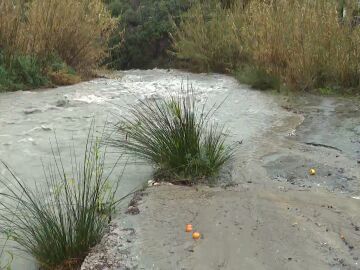 Sayalonga, el lugar donde ha desaparecido una mujer en M&aacute;laga