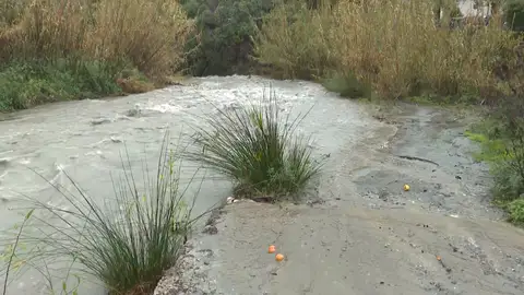 Sayalonga, el lugar donde ha desaparecido una mujer en Málaga Sayalonga, el lugar donde ha desaparecido una mujer en Málaga