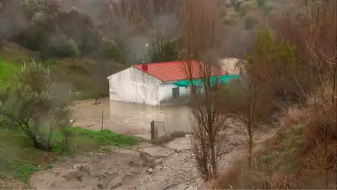 Temporal Leonardo Temporal Leonardo