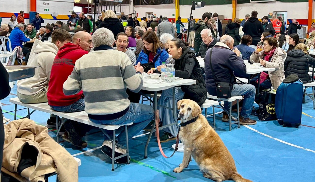 Imagen de las personas acogidas en el polideportivo de Ronda
