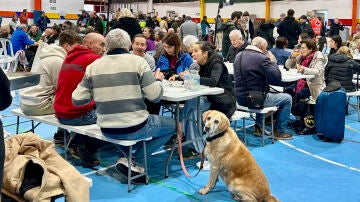 Imagen de las personas acogidas en el polideportivo de Ronda