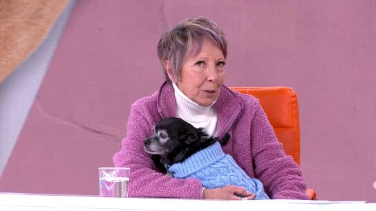 Consuelo perro