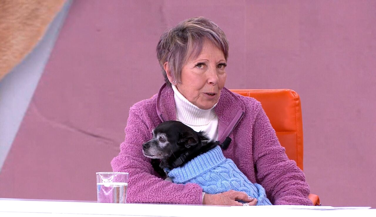 Consuelo perro