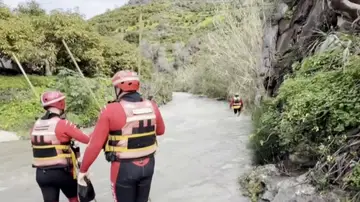 Encuentran el cadáver de una mujer en Sayalorga (Málaga) Encuentran el cadáver de una mujer en Sayalorga (Málaga)