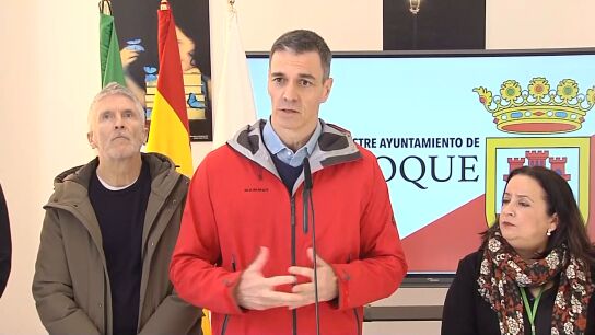 Pedro S&aacute;nchez