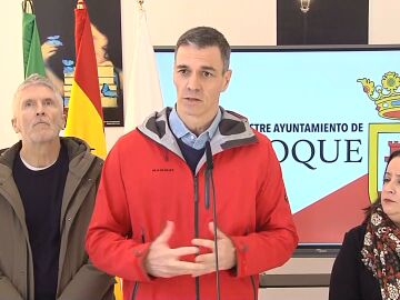 Pedro S&aacute;nchez